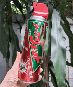 vn 11134207 7qukw lfjfac9mv43969