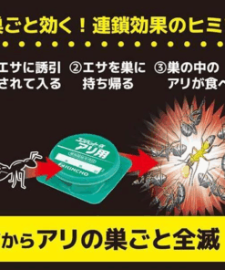 vn 11134207 7r98o lme43lkvc4wv5e