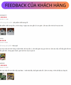 vn 11134207 7r98o ly4vl2mbrkbl8a