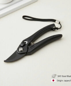 z7100361380596 86f945ca19c6a7031cbfe48fa5eb4cc8