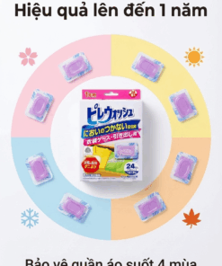 Bang phien khong mui