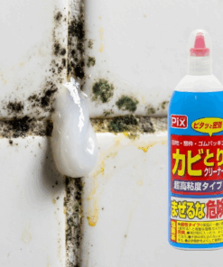 tay nam moc nhat ban