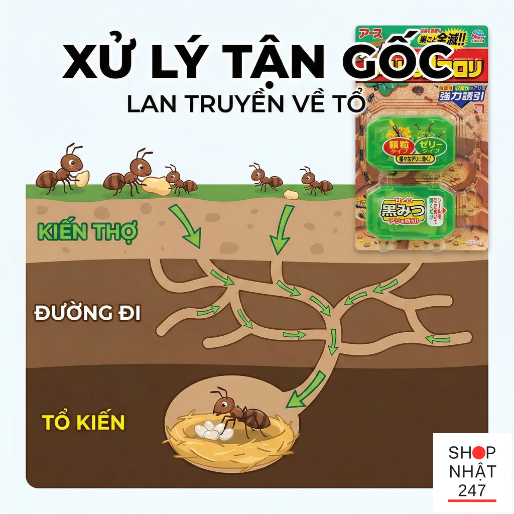 Cach loai bo kien tren ban an va nha bep an toan